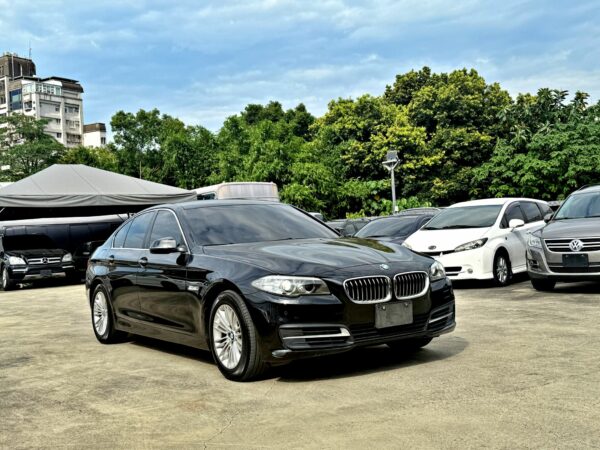 2013 BMW 5-Series Sedan 520d：圖片 2